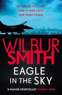 Eagle in the Sky
