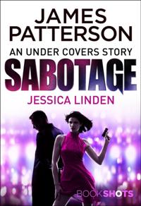 Bodyguard Series