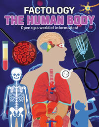 The Human Body