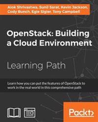 OpenStack: Building a Cloud Environment