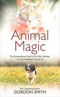 Animal magic - the extraordinary proof of our pets intuition and unconditio