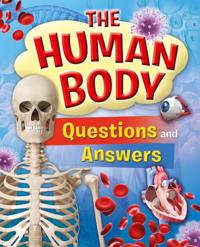 Human Body Questions and Answers