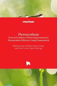 Photosynthesis