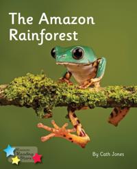 Amazon Rainforest