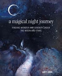 Magical Night Journey