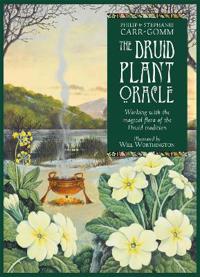 Druid Plant Oracle Reissue