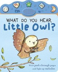 What Do You Hear, Little Owl?