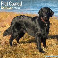 Flatcoated Retriever Calendar 2026  Square Dog Breed Wall Calendar - 16 Month