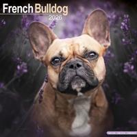 French Bulldog Calendar 2026  Square Dog Breed Wall Calendar - 16 Month