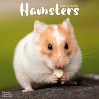 Hamsters Calendar 2026  Square Animal Wall Calendar - 16 Month