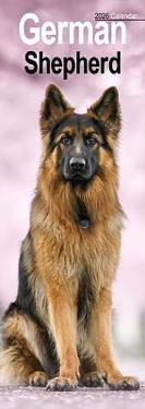German Shepherd Slim Calendar 2026  Dog Breed Slimline Calendar - 12 Month