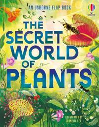 The Secret World of Plants