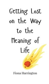 Getting Lost on the Way to the Meaning of Life