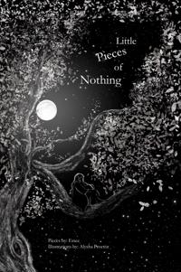 Little Pieces of Nothing