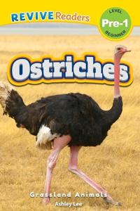 Ostriches