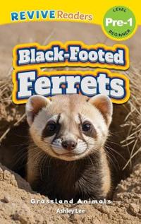 Black-Footed Ferrets