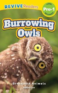 Burrowing Owls