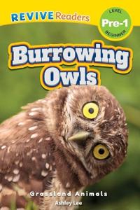 Burrowing Owls