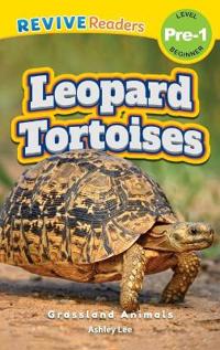 Leopard Tortoises