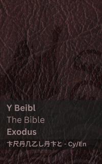 Y Beibl (Exodus) / The Bible (Exodus)