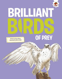 Brilliant Birds of Prey