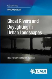 Ghost Rivers and Daylighting in Urban Landscapes