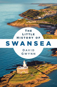 The Little History of Swansea