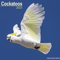 Cockatoos 2023 Wall Calendar