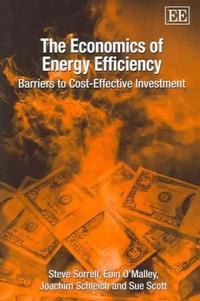 The Economics of Energy Efficiency