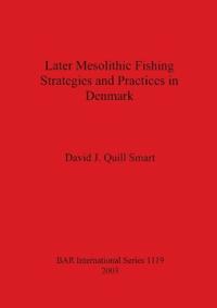 Later Mesolithic Fishing Strategies and Practices in Denmark