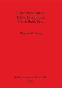 Social Pluralism and Lithic Economy at Cerro Baúl Peru