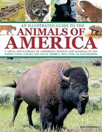An Illustrated Guide to the Animals of America