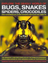 Explore the Deadly World of Bugs, Snakes, Spiders, Crocodiles
