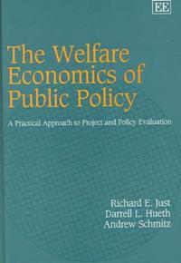 The Welfare Economics of Public Policy