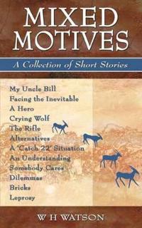 Mixed Motives