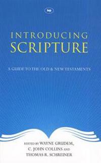 Introducing Scripture