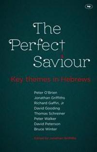 The Perfect Saviour