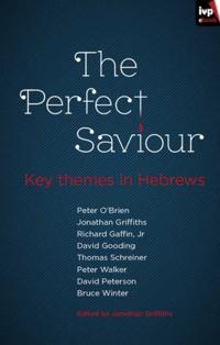 Perfect Saviour