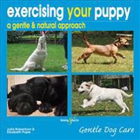 Exercising Your Puppy: a Gentle & Natural Approach