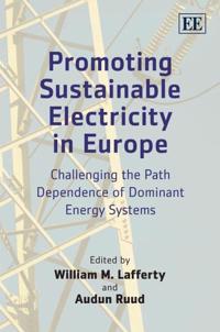 Kirjan kansi "Promoting Sustainable Electricity in Europe"