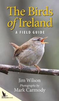 Birds of Ireland: A Field Guide