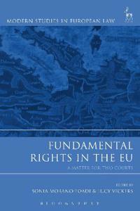 Kirjan kansi "Fundamental Rights in the EU"