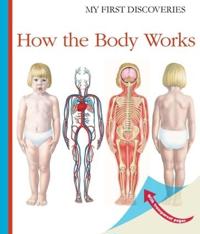 How the Body Works