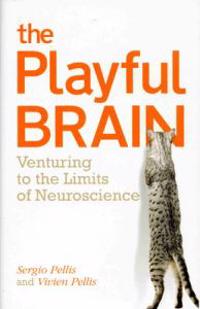 The Playful Brain