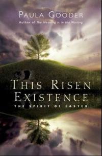 Bokomslag för "This Risen Existence"