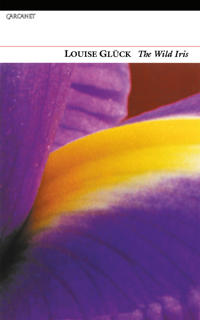 Wild iris