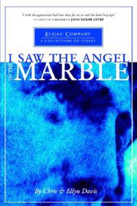 I Saw the Angel in the Marble