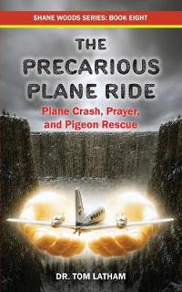 The Precarious Plane Ride