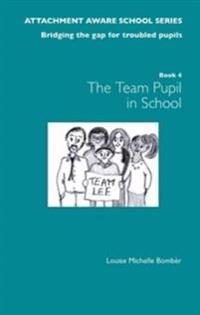 The Attachment Aware School Series: Bridging the Gap for Troubled Pupils