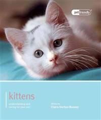 Kitten - Pet Friendly